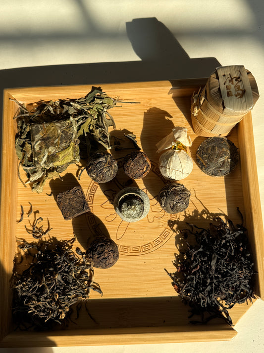 Wild Red Tea – A Rare Treasure from Lintao Po Mountain, Lincang, Yunnan