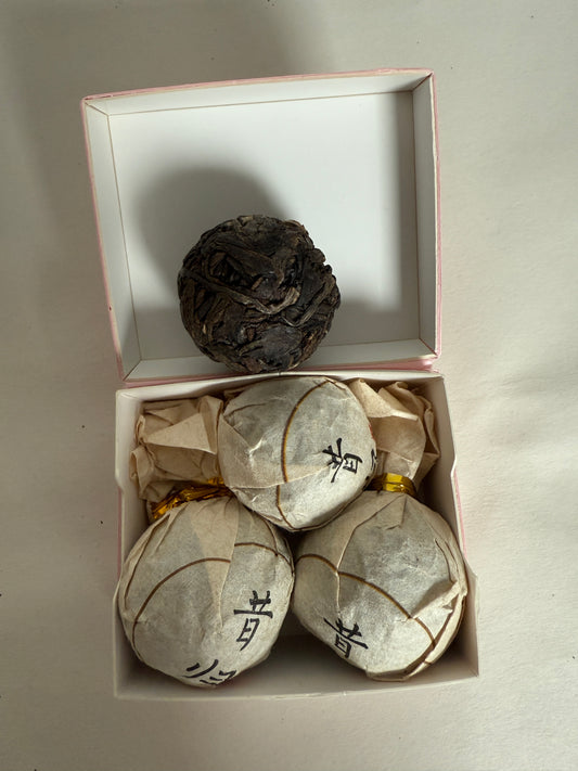 XiguiDragonBall （昔归龙珠）